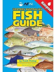 Western Australia Fish Id Guide Wa