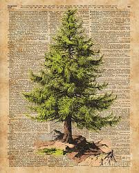 Make money with your greeting card designs! Christmas Cards Wall Art Fine Art America