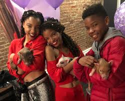 Chloe bailey started learning the cello and violin while she was being homeschooled in atlanta. The Family Of Raising Stars Chloe X Halle Parents Siblings Bhw
