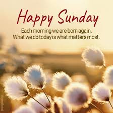 We did not find results for: Good Morning Sunday Quotes Messages Images Happy Sunday Morning