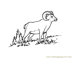 Christmas coloring page for kids. Bighorn Ram Coloring Page For Kids Free Ram Printable Coloring Pages Online For Kids Coloringpages101 Com Coloring Pages For Kids