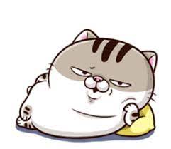 Pin On Meowcos