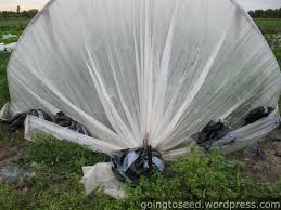 Revamping Caterpillar Tunnel Design for Strength