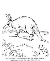 This way, by printing or downloading the aardvark printable coloring page, your child can begin to color it. Animal Drawings Coloring Pages Aardvark Animal Identification Drawing And Coloring Pages Honkingdonkey Animal Drawings Drawings Animal Draw
