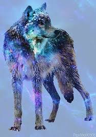Wolf Abstract Art Wolf Dog Wolf Spirit Wolf Art