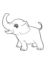 There are two types of elephants one is african elephant and second is. Coloring Pages Baby Elephant Coloring Pages