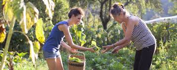 Ideal zur aufbewahrung ihrer gartenutensilien, rasenmäher, werkzeuge und co. Gartenpaten Finde Deinen Patengarten