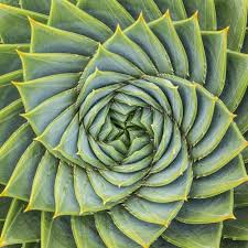 Resilience Helix Symbolism The Resilient Helix Psychiatry Psychotherapy Services Scripps Ranch San Diego Resilience Resilience Symbol Psychiatry