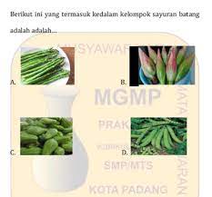 We did not find results for: 1 Sayuran Yang Tergolong Kedalam Jenis Sayuran Bunga Adalah Brainly Co Id