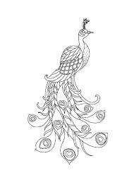 A Beautiful Peacock With His Long Train Coloring Page Peacock Coloring Pages Train Coloring Pages Bird Coloring Pages