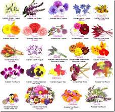 We did not find results for: 14 Edible Flowers Nature S Delight Ideas Edible Flowers Edible Edible Flowers Recipes