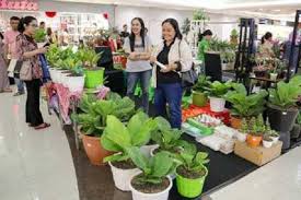 Apalagi bila anda memiliki hobi merawat ada banyak jenis tanaman hias yang dijual dan bisa dijadikan bisnis. Peluang Bisnis Tanaman Hias Di Mal Terbuka