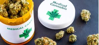 How much does medical cannabis cost? Will Health Insurance Cover Medical Marijuana In Florida Mmtc