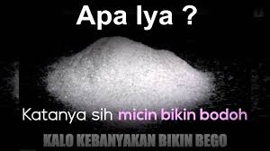 Ternyata Micin Tidak Membuat Bodoh Seperti Yang Disangkakan Sebagian Orang