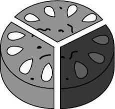 Spiral bits produce a very clean and accurate cut with minimal chatter. How To Slice A Cake Into Fractions Dummies