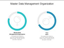 Master Data Management Organization Ppt Powerpoint