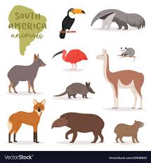 Animal In South America Wild Animalistic Vector Image American Animals Animal Infographic South America Animals