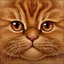 Pin By Josephine On Cats Cat Portraits Persian Cat Cats