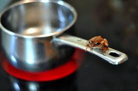A deep cooking vessel with a handle and sometimes a lid; Boiling Frog Wikipedia