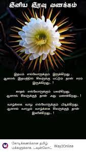 Pin By Lavanya On A Tamil Quotes Dandelion Plants Flowers
