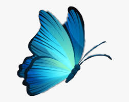 Mariposa has just the sumptuous something for any appetite. Mariposa Butterfly Celeste Azul Blue Skyblue Mariposas Celestes Png Transparent Png Transparent Png Image Pngitem