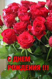 с днем рождения и я и я поздравляю тебя Pin By Yura Kotovich On S Dnyom Rozhdeniya Man Bouquet Birthday Greeting Message Birthday Greetings