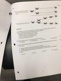 Solved Two Model For The Speed Of Speciation Are Based On Chegg Com