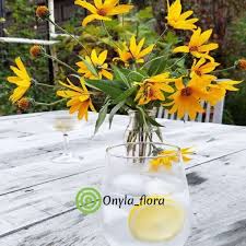 Di videoku kali ini menyajikan bagaimana memperbanyak matahari mini dengan biji. Jual Tanaman Hias Indoor Bunga Matahari Mini Bibit Tanaman Hias Gantung Terbaru Juni 2021 Blibli