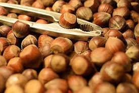 Nutcracker Meaning In Hindi Shabdkosh
