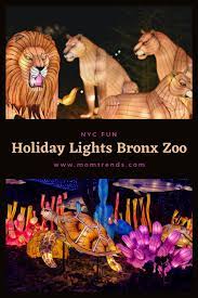 Holiday Lights At The Bronx Zoo In Nyc Bronx Zoo Holiday Lights Nyc Holidays