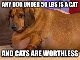 See more ideas about dog memes, funny dogs, funny animals. Fat Dog Latest Memes Imgflip