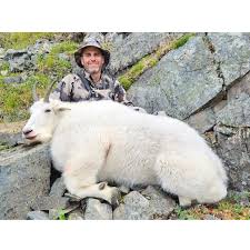 British Columbia World Class Mountain Goat Hunts | Huntin' Fool
