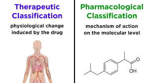 Image result for Medication Categories