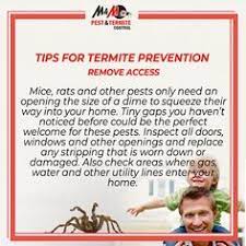 Don't miss the latest from downtown newport beach get free access to exclusive deals, events, news, and more. 190 Termite Control Infographic Ideas Termite Control Termites Pest Control