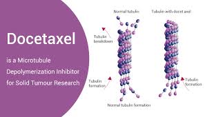 Image result for Docetaxel