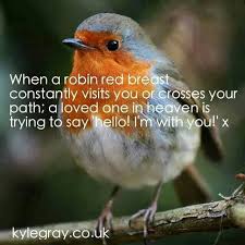 Mr Robin Redbreast Loved One In Heaven Bird Quotes Robin
