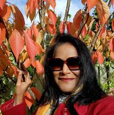 What are the considerations for setting up a DIY solar power system?