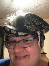 Peekaboo . Instagram.com/sylas_snake