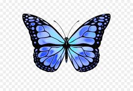 It is a very clean transparent background image and its resolution is 1611x923 , please mark the image source when quoting it. Monarch Butterfly Png Download 620 620 Free Transparent Watercolor Png Download Cleanpng Kisspng