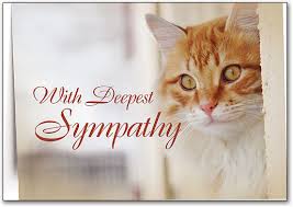 He will be missed by many but will live on with the precious memories he left behind. Cat Themed Sympathy Cards Smartpractice Veterinary