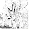 An african savannah is a grassland habitat. 1