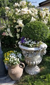 Pin By Ilona Betka On Garten Plants Outdoor