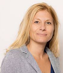 Scientists may explore many different hypotheses to explain their  observations.