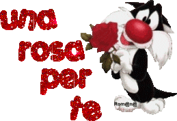 Risultati immagini per gif gatto con una rosa