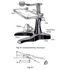 5 Important Types Of Microscopes Used In Biology With Diagram