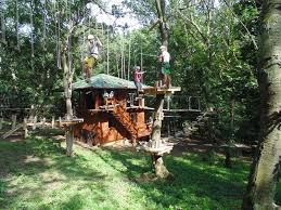 Ioan vlad de la marginea oraşului alba iulia, în zona dealului mamut, se deschide pentru public. S A Redeschis Parcul De Aventura Dynamis Viziteaza Alba Iulia