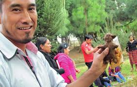 Verantwortung tragen für diese Erde