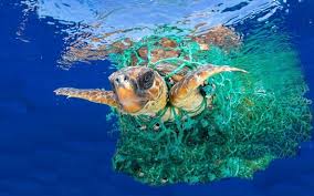 Desde 2009 que as nações unidas assinalam o dia mundial dos oceanos, à semelhança de outras datas comemorativas. Dia Mundial Dos Oceanos Porque E Preciso Preservar Autossustentavel