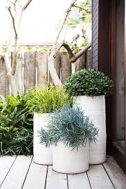 Obsession Terrasse Jardin Jardins Ao Ar Livre Patio Com Jardim Design De Jardim