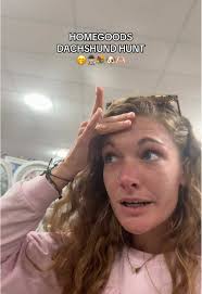 Dachshund Shopping Adventure at HomeGoods